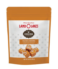 Land O Lakes Cocoa Classics Salted Caramel Cocoa Mix Pouch - 14.8 Ounce