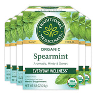 Traditional Medicinals Organic Spearmint Tea Bags - 16 Count (Case of 6)