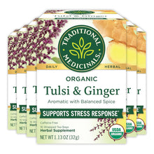 Traditional Medicinals Organic Tulsi & Ginger Tea Bags - 16 Count (Case of 6)